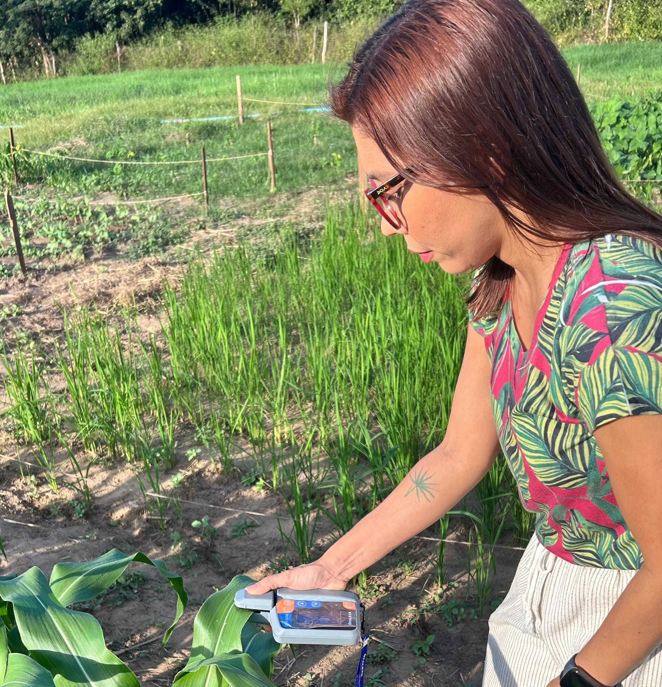 Foto de Giovana Lopes da Silva