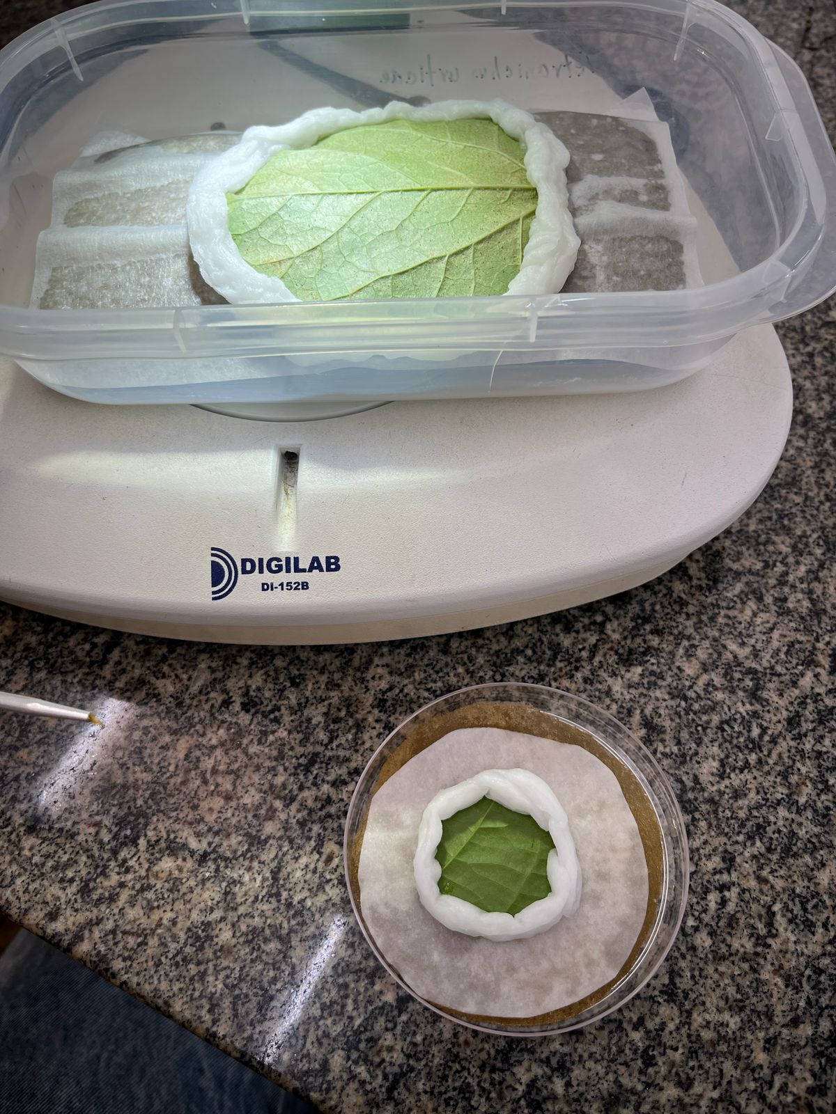 Arenas experimentais de criação e toxicidade