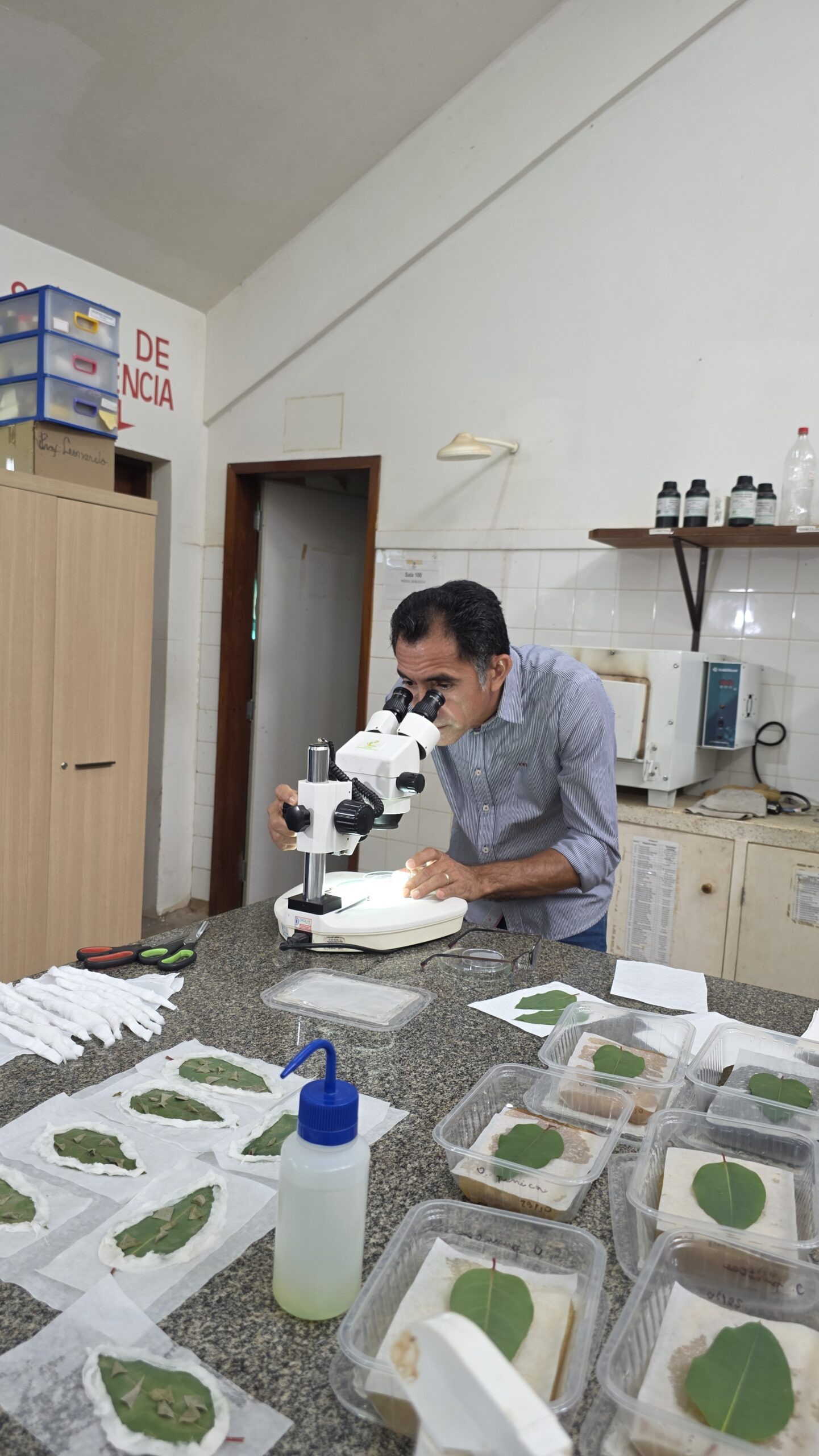 Pesquisa, formação e divulgação científica do ENTOMOL