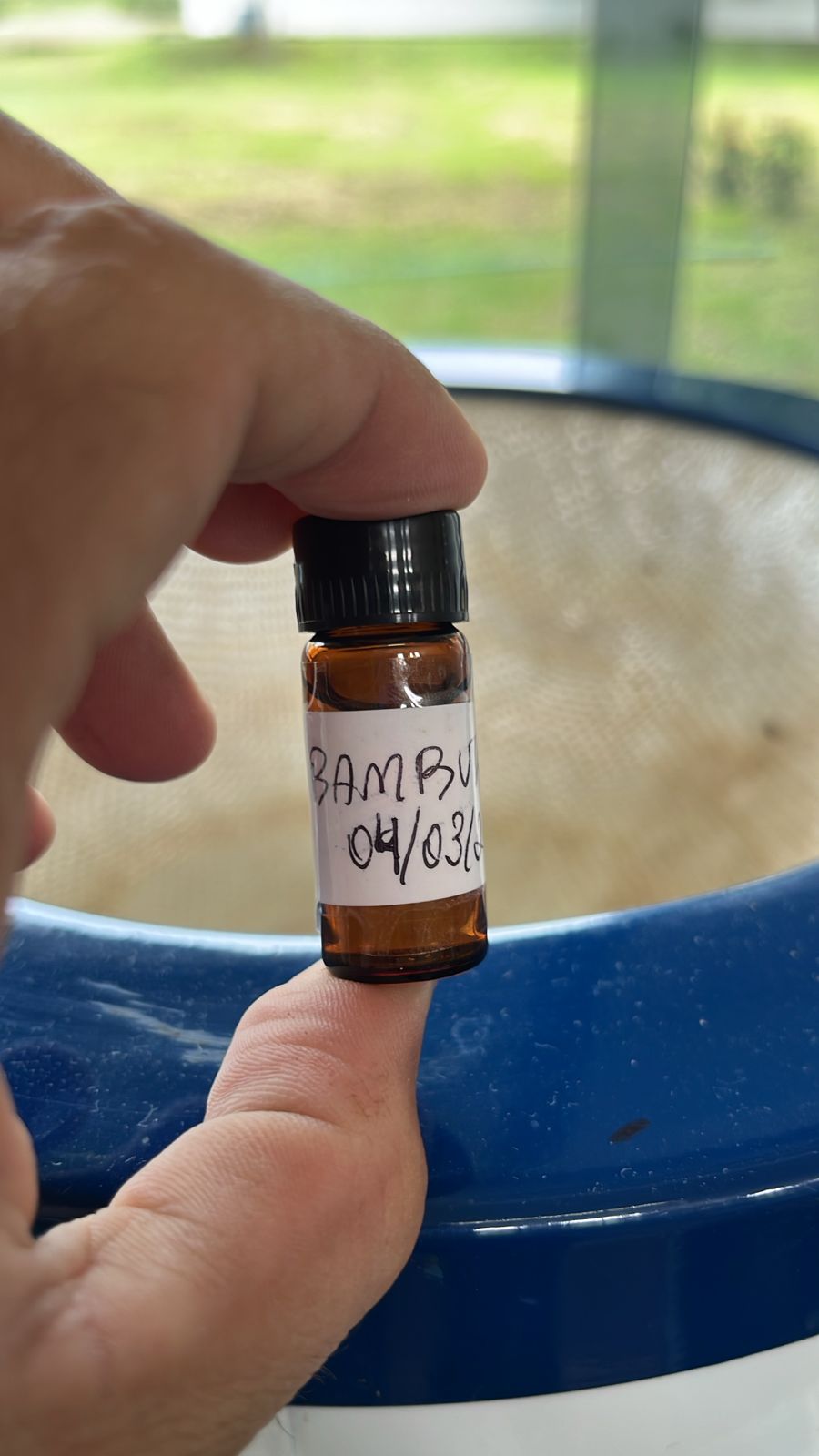 Óleo essencial de Bamburral armazenado em frasco âmbar